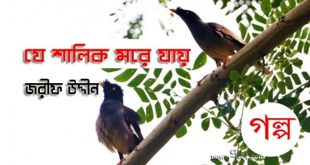 যে শালিক মরে যায় ||  জরীফ উদ্দীন   