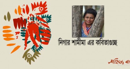 নিগার শামীমা এর কবিতাগুচ্ছ