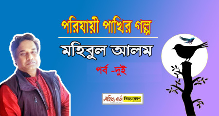 পরিযায়ী পাখির গল্প ০ ২।।  মহিবুল আলম