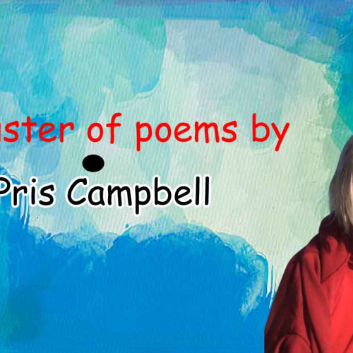 A cluster of poems by Pris Campbell