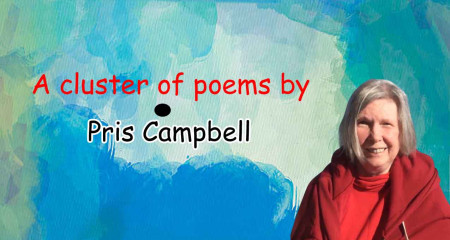 A cluster of poems by Pris Campbell