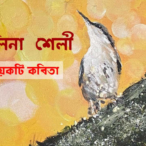 সেলিনা শেলী । কয়েকটি কবিতা