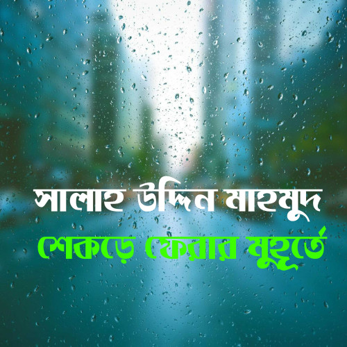 শেকড়ে ফেরার মুহূর্তে - সালাহ উদ্দিন মাহমুদ