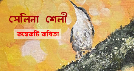 সেলিনা শেলী । কয়েকটি কবিতা