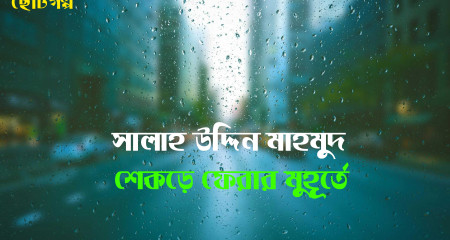 শেকড়ে ফেরার মুহূর্তে - সালাহ উদ্দিন মাহমুদ